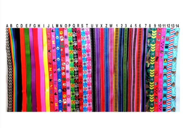 Plaquinha de Aço para Cães e Gatos - Gravada dos Dois Lados (Cachorro e gato) - com DIZERES e FOTO