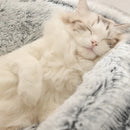 Cama para Gatos 2 em 1