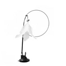 Brinquedo Interativo Para Gatos Adultos e Filhotes