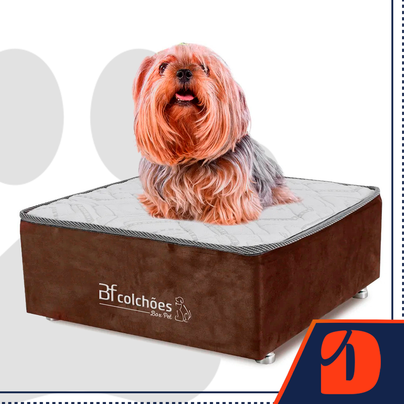 Cama Box BF Pet Para Cães