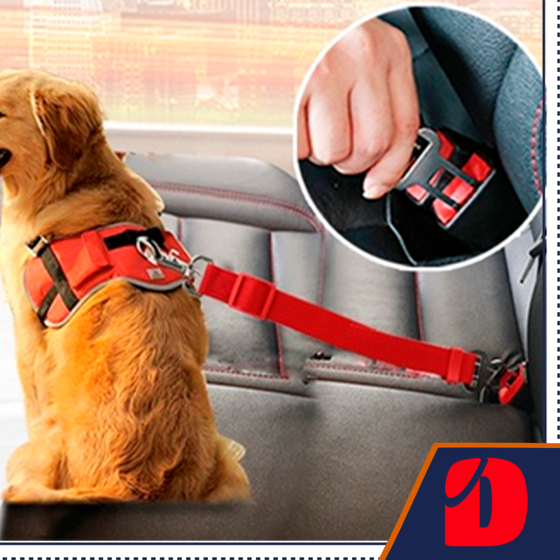 Retrátil Pet Cinto De Segurança pet