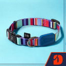 Coleira Ajustável para Cães Raios e Listras Azul - P