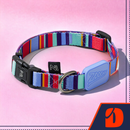 Coleira Ajustável para Cães Raios e Listras Violeta - P
