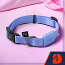 Coleira Ajustável para Cães Violeta - M