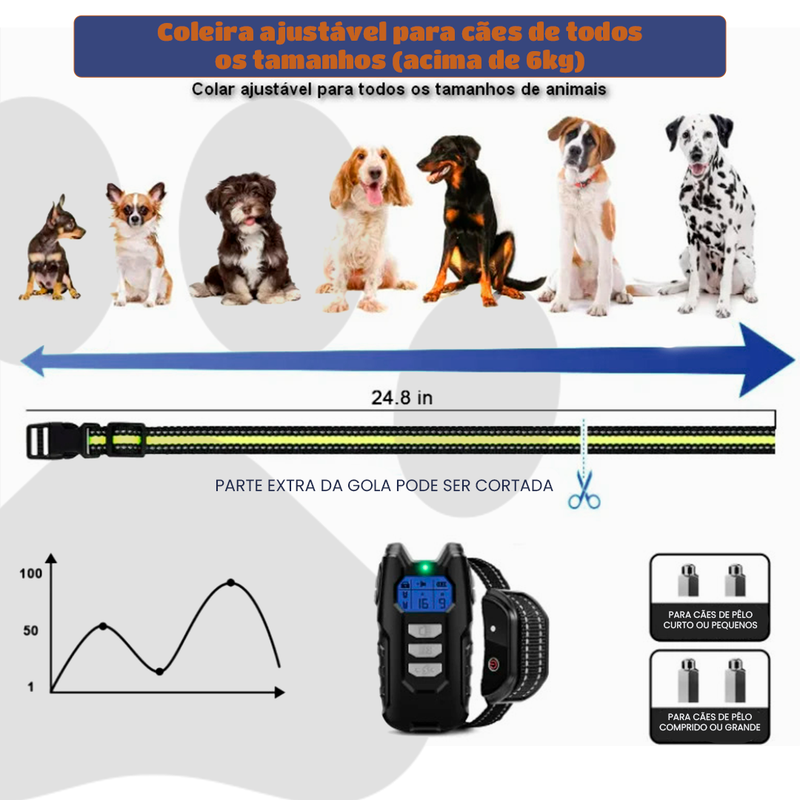 Coleira de Treinamento Elétrico