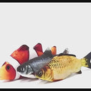 Peixe Interativo Elétrico Para Gatos – Carregamento USB 30cm