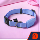 Coleira Ajustável para Cães Violeta - P